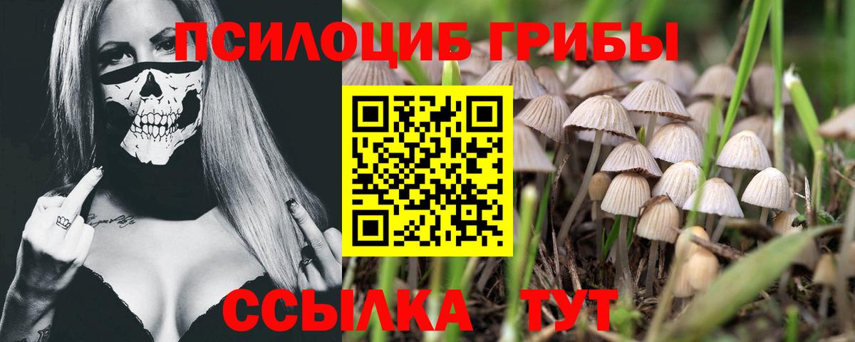 Псилоцибиновые грибы ЛСД Мичуринск