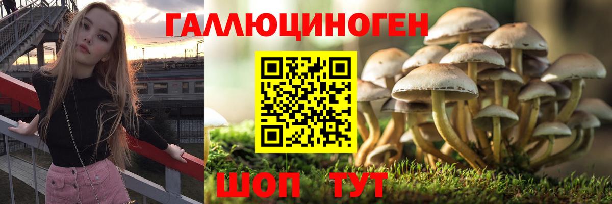 Галлюциногенные грибы мухоморы  Вход с VPN  Мичуринск 