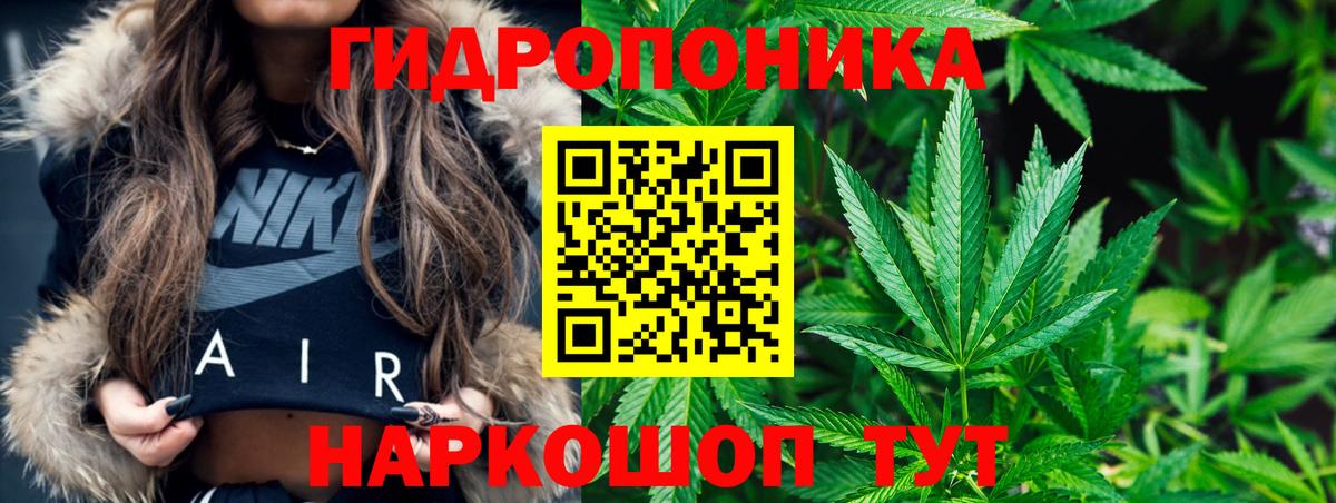 Бошки марихуана THC 21%  Вход с VPN  Конопля планчик  Мичуринск  Бошки Шишки марихуана 